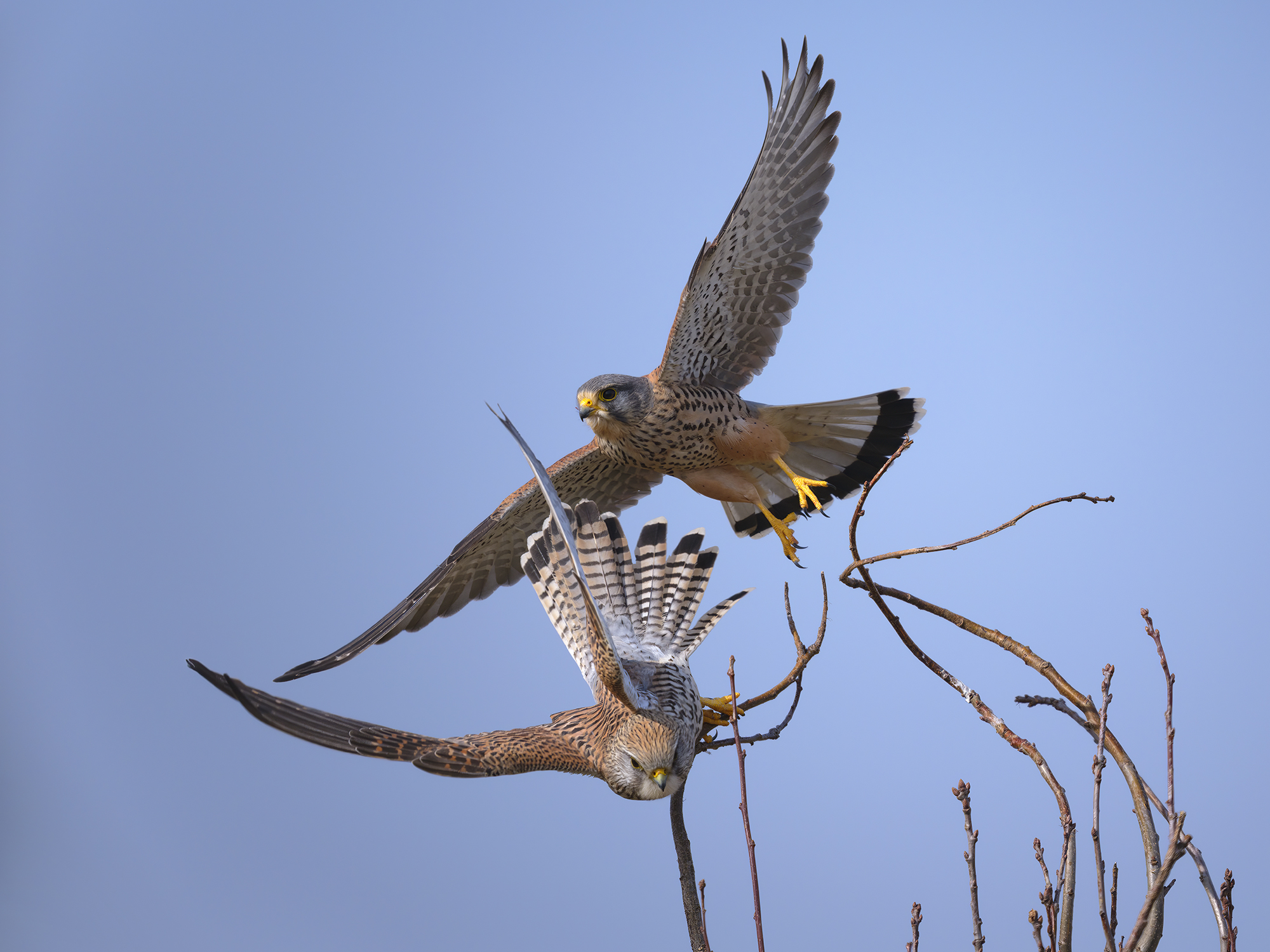 Unterschiedliche Startrichtungen